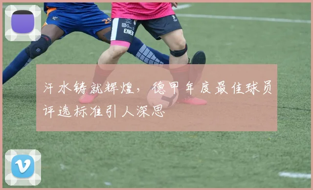 汗水铸就辉煌，德甲年度最佳球员评选标准引人深思